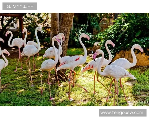 足球明星与动物的奇妙联动：探索各类球员与动物形象的完美契合