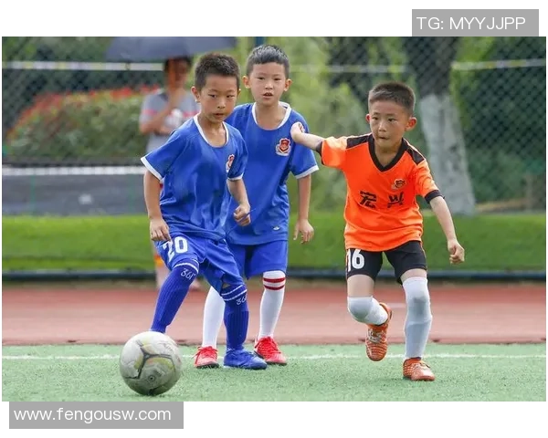 足球巨星亲授技巧与心得,带你从基础到精英全面提升足球水平 足球巨星亲授技巧与心得,带你从基础到精英全面提升足球水平