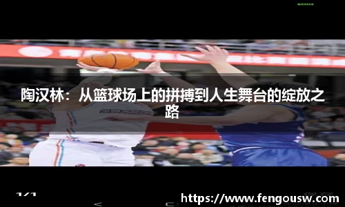MK体育官方网站